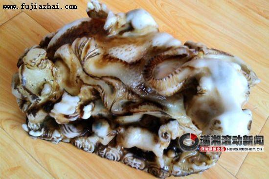 (近日，市民廖女士在乡下探亲时，买到的&ldquo;玉石&rdquo;。图/潇湘晨报滚动新闻记者 吴静 实习生 黄佳莉)