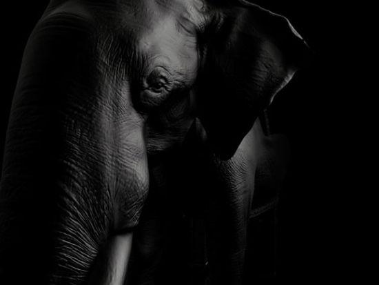 为了与印度文化更进一步的结合，设计师添加了重新加工过的印度传统家具雕刻花纹。