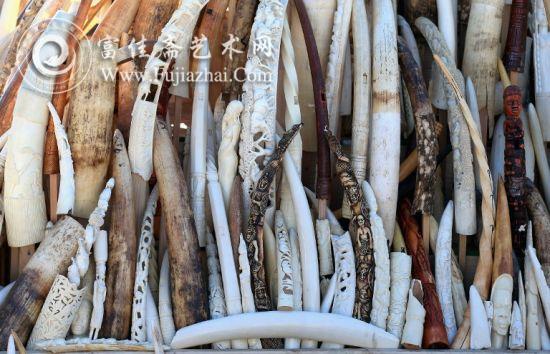 美国销毁一批重大6吨的象牙及象牙制品