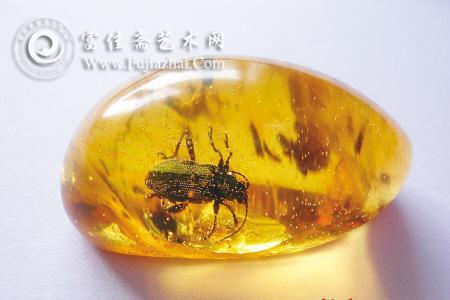 琥珀收藏千年形成的美丽(图)
