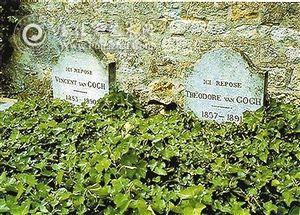 在梵高与其弟弟提奥的合葬墓前加歇医生种植了常春藤，一百多年来，无数次的枯萎与新生，那些常春藤仍然枝繁叶茂。